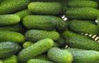 Olandijos šiltnamiuose išaugintose daržovėse vitaminų sumažėja 84-99 proc.