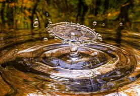 Kaip vanduo gali apsisaugoti nuo ore tykančių virusų?