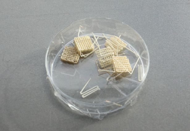 Tyrimai proveržio srityje: LSMU specialistai kuria 3D tabletes
